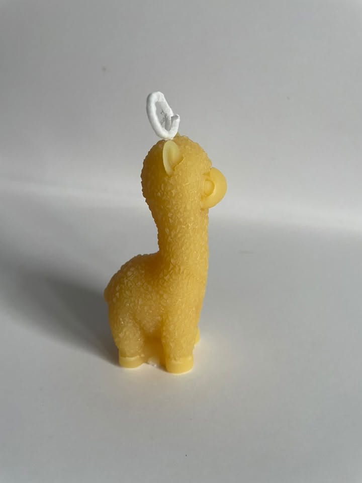 Llama candle
